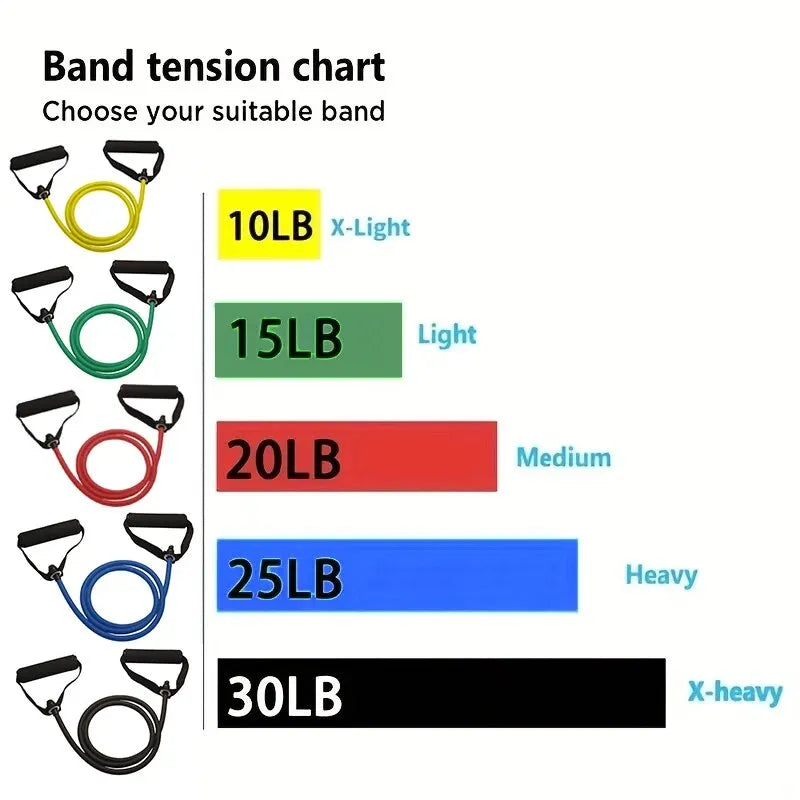 Bandas de Resistencia con Asas – Bandas de Ejercicio y Entrenamiento para Hombres y Mujeres, Equipo de Fuerza para Entrenar en Casa